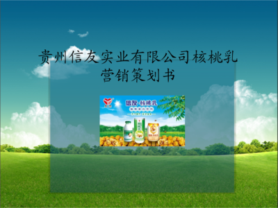 核桃乳市場營銷策劃方案